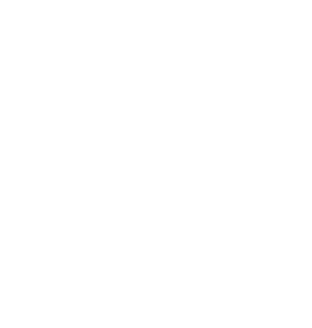 IVIS - Instituto Visual de Inclusão Social