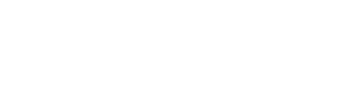 IVIS - Instituto Visual de Inclusão Social
